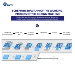 Automatic Horizontal Cartoning Machine